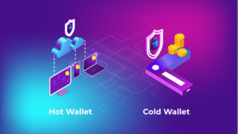Infographic showing the difference between hot wallets and cold wallets in cryptocurrency Infographic showing the difference between hot wallets and cold wallets in cryptocurrency