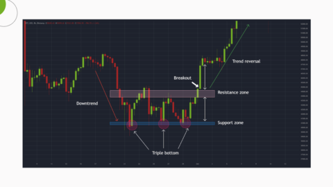 How to Read a Crypto Price Chart